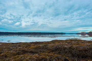 lake and sky