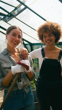Vertical video portrait of two female friends or same sex couple working gardening in greenhouse at home together - shot in slow motion