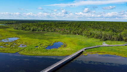 Aerial landscape with a lake and trees
