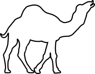 Camel Line graphic icon. Camel black sign isolated on Transparent background. Camel symbol of desert with editable stock. Camel desert brand logo design element. Camel Silhouettes Vector Illustration.
