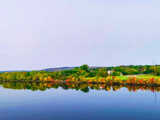 Riverside reflections of nature