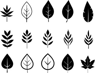 Fototapeta premium set of silhouettes of leafs , silhouette avatar icon set , illustration, vector design , minimalistic , nature vector