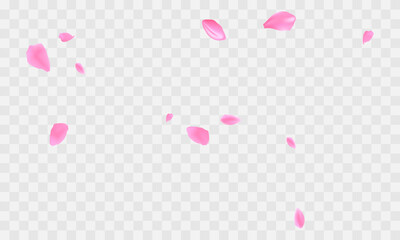 Vector realistic sakura flower petals background - obrazy, fototapety, plakaty