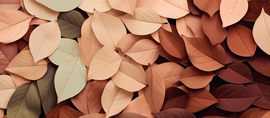 Autumn leaves inspire warm and natural color combinations for decoration and design with brown beige and green tones