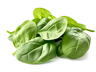 Fototapeta premium Baby spinach leaves isolated on white background cutout.