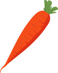Carrot icon vector illustration. Vegetable isolated design element