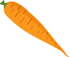 Carrot icon vector illustration. Vegetable isolated design element