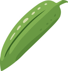 Cucumber icon vector illustration. Vegetable isolated design element