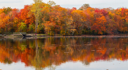 Colorful autumn leaves on trees reflecting on to the water of Southards Pond looking at the fishing bridge