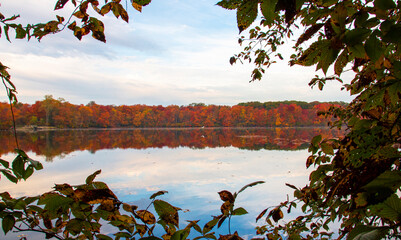 Looking through the trees at autumn colored leaves reflecting in a lake