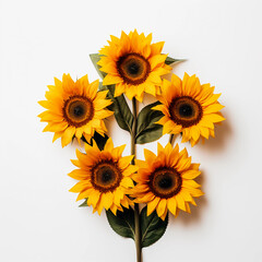 Sunflowers and leaves isolated on a white background, Yellow summer flower, Wall decoration photos, Generative AI.	