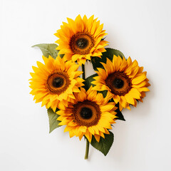 Sunflowers and leaves isolated on a white background, Yellow summer flower, Wall decoration photos, Generative AI.	