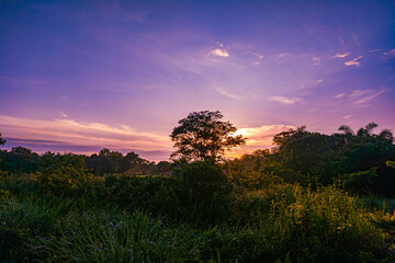 Sunrise and purple skies