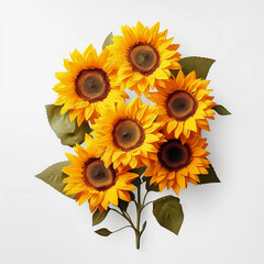 Sunflowers and leaves isolated on a white background, Yellow summer flower, Wall decoration photos, Generative AI.