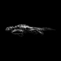 Foto op Canvas Marine Iguana hand drawing vector isolated on black background. © tya studio