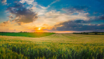 meadow sunset panorama view serene nature landscape colorful sky wide countryside rye wheat field in the summer on cloudy sky background world environment day concept green energy carbon credit