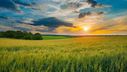 meadow sunset panorama view serene nature landscape colorful sky wide countryside rye wheat field in the summer on cloudy sky background world environment day concept green energy carbon credit