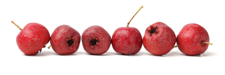 Hawthorn berry on white background.