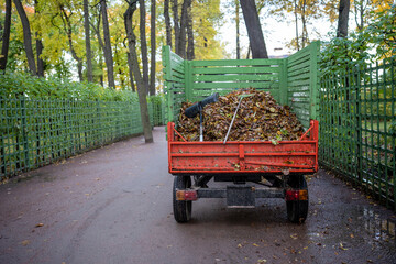 Small dump truck with dry fallen leaves in autumn park riding on asphalt road. Piles of fallen dry...