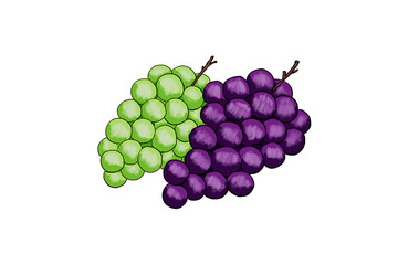 ぶどう 日本 イラスト