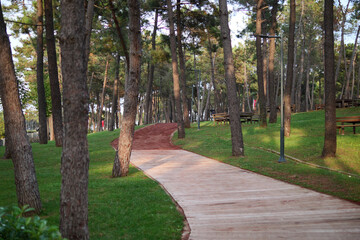 city parks with walkaway at early morning 