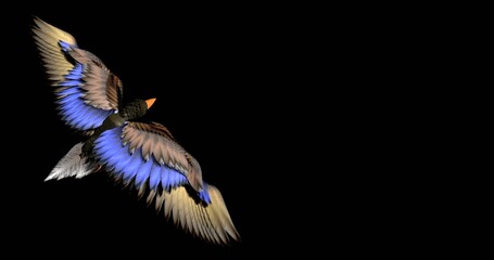 fabulous bird on a dark background, bright colors, 3d rendering