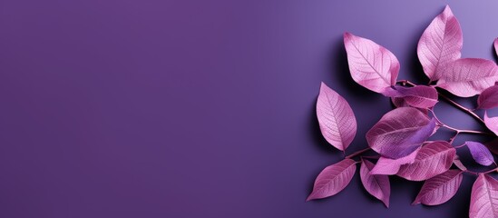 Purple leaves on foreground