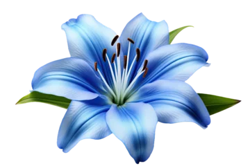 Foto op Plexiglas Fresh tropical blue lily flower head isolated on white background © twilight mist