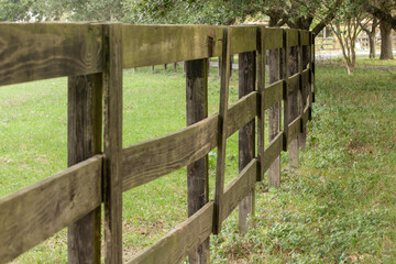 Wood fence on a texas ranch lining a pasture woth a row of trees