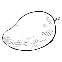manggo fruit handdrawn 