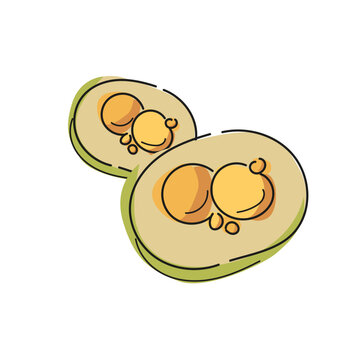 pequis, Mato Grosso, Cuiaba, Cultura regional, comida tipica, pequis roidos, xomano