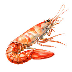 water animal element. watercolor shrimp illustration. - obrazy, fototapety, plakaty