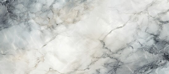 Obraz premium Elaborate marble background sketch