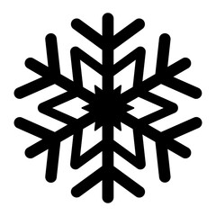 A large snowflake symbol in the center. Isolated black symbol