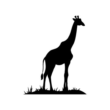 A large giraffe symbol in the center. Isolated black symbol. Illustration on transparent background
