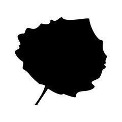 A large aspen leaf in the center. Isolated black symbol. Vector illustration on white background