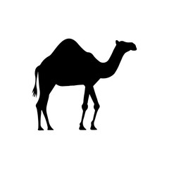 A large camel symbol in the center. Isolated black symbol. Illustration on transparent background