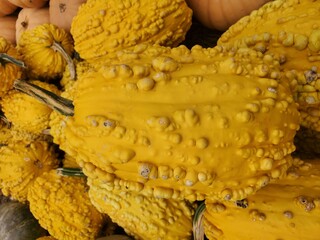 Closeup of a yellow gourd with unique surface