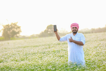 coriander flowers farming