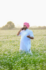 coriander flowers farming