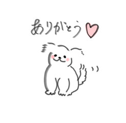 ありがとう(白い犬)