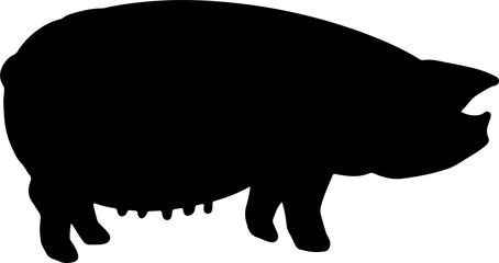 The pig outline art for animal or food concept