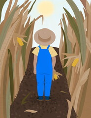 Cornfield and baby. Boy and nature. Farmer in the field of corn