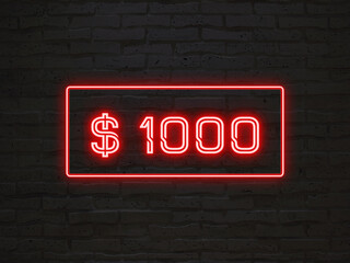 $1000 のネオン文字