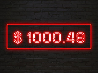 $1000.49 のネオン文字