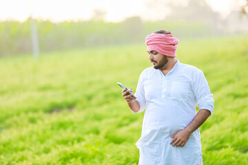 Chickpea Farming In India