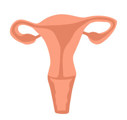 Vector isolated illustration of a woman's uterus. Female fertility.