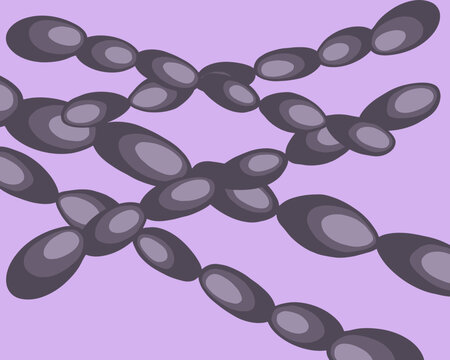 Vector isolated illustration soft chancre pathogen.