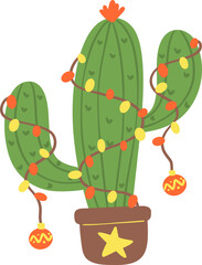 Christmas Cactus