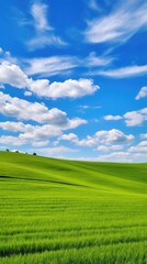 Obraz premium green field and blue sky
